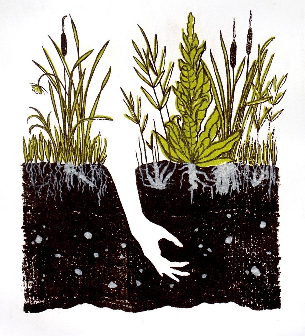 Illustration of a hand reaching down into soil