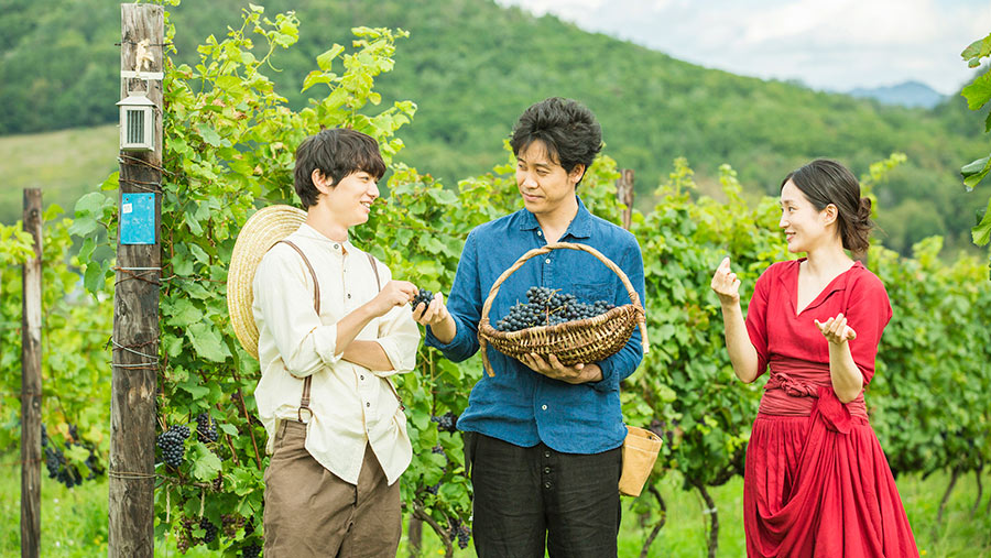 Two men and a woman stand in amidst the grapevines holding a basket full of harvested grapes