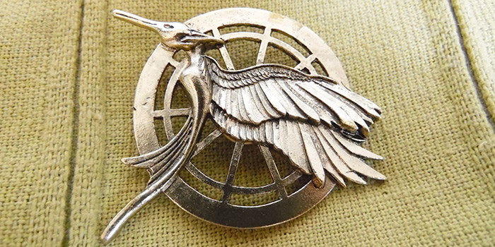 pin from the Hunger Games