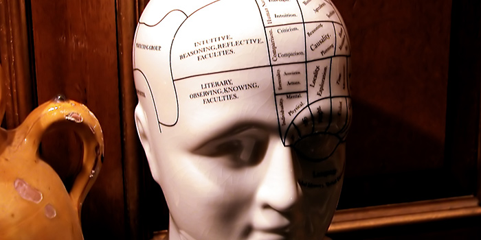 Medical of a human head with sections of the brain labeled