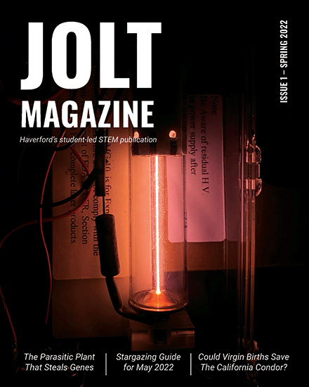 Jolt Issue 1, Spring 2022 pdf