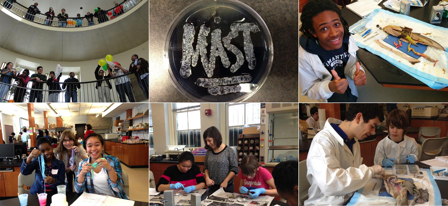 Students participating in the MAST program