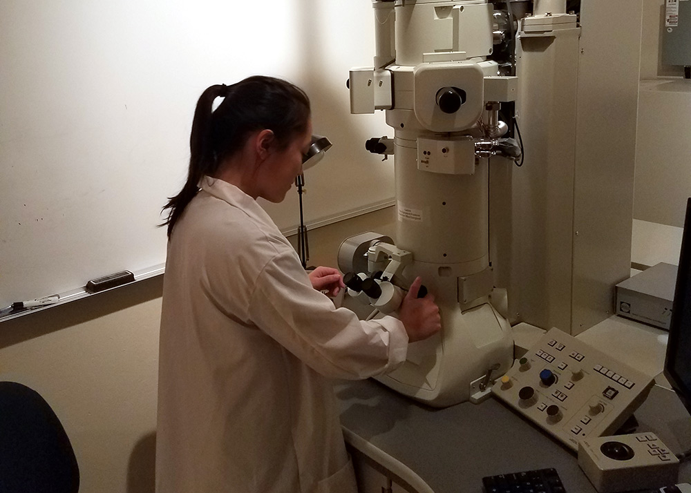 Alternate view of student using the TEM