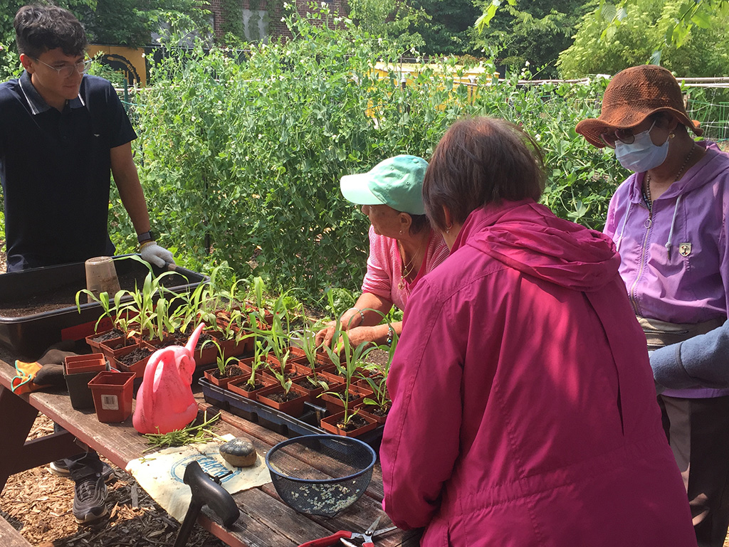 Santiago Ospina Duran ’23 assisting others with seedlings outdoors at a picnic table