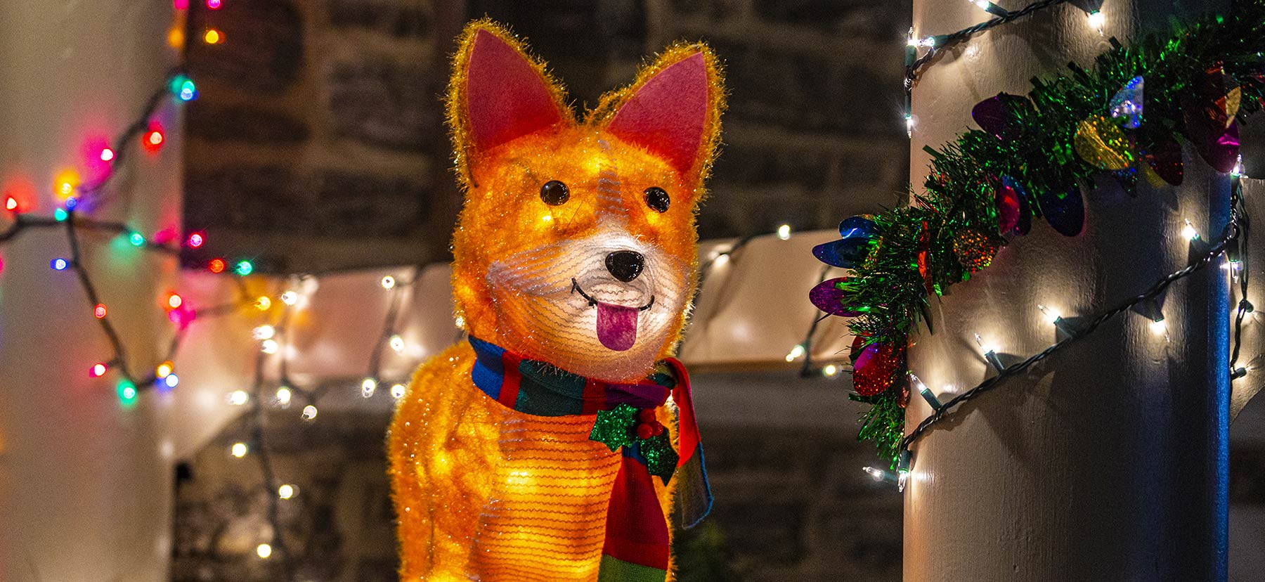 A festive light-up dog in a scarf