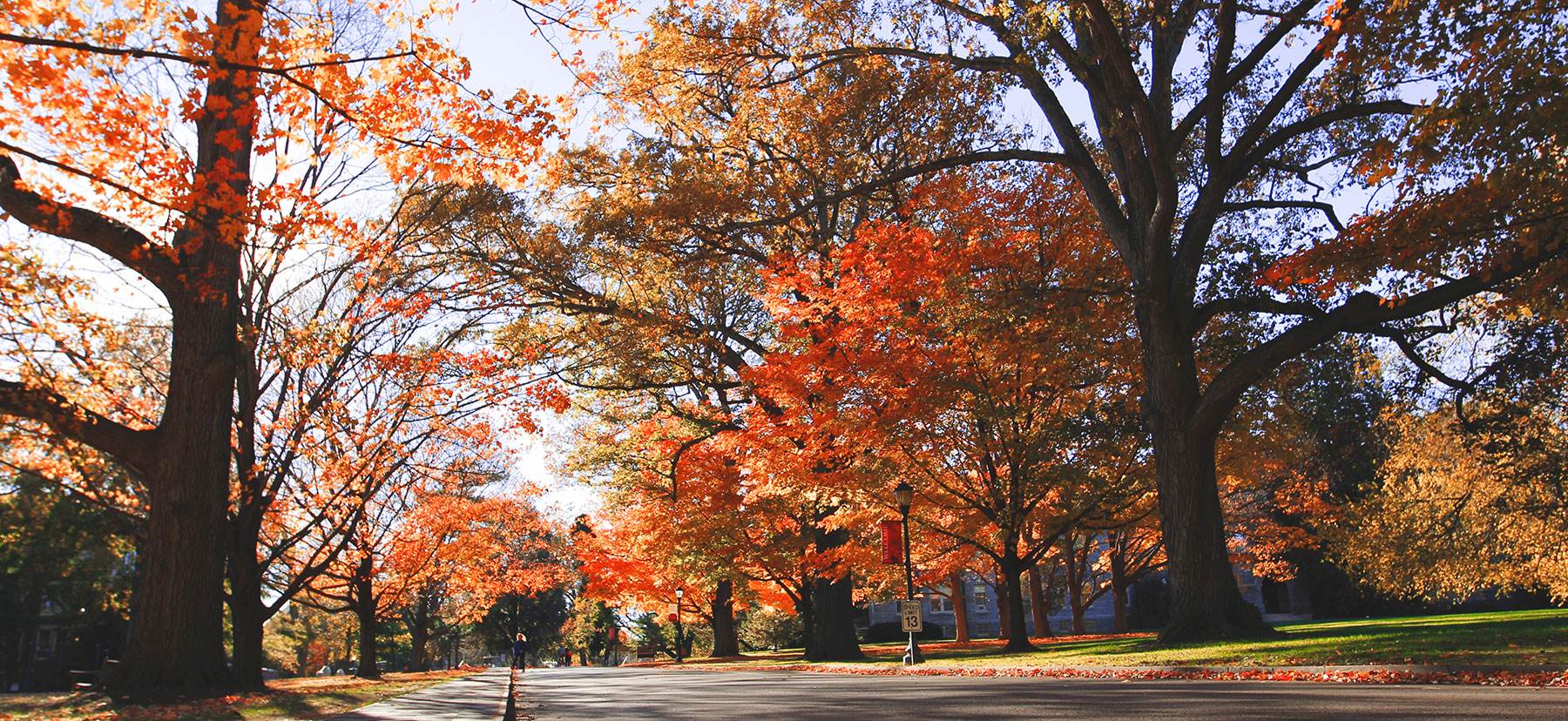 Autumn on Haverford Campus