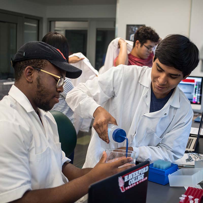 chesick scholars working in the lab