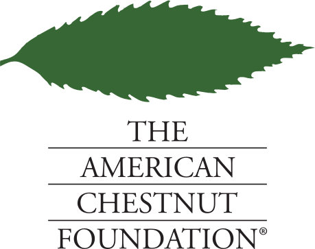 American Chestnut Foundation logo
