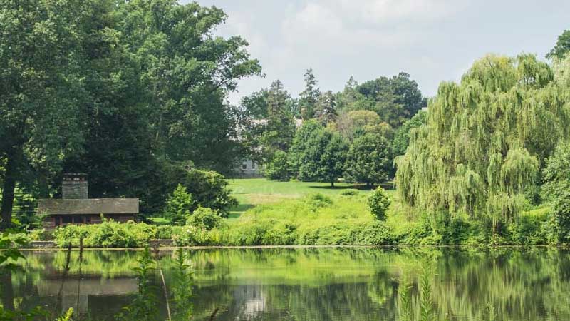 The duck pond