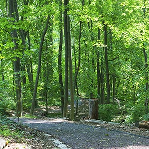 learn about the nature trail