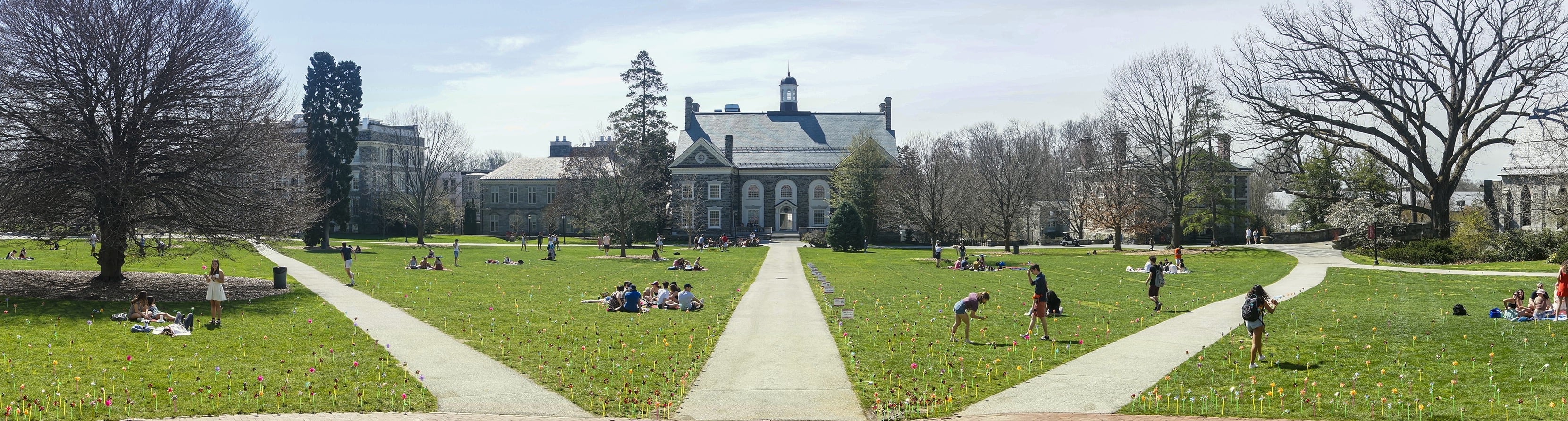 Panoramic photo of groups of students on Founders Green on Pinwheel day.