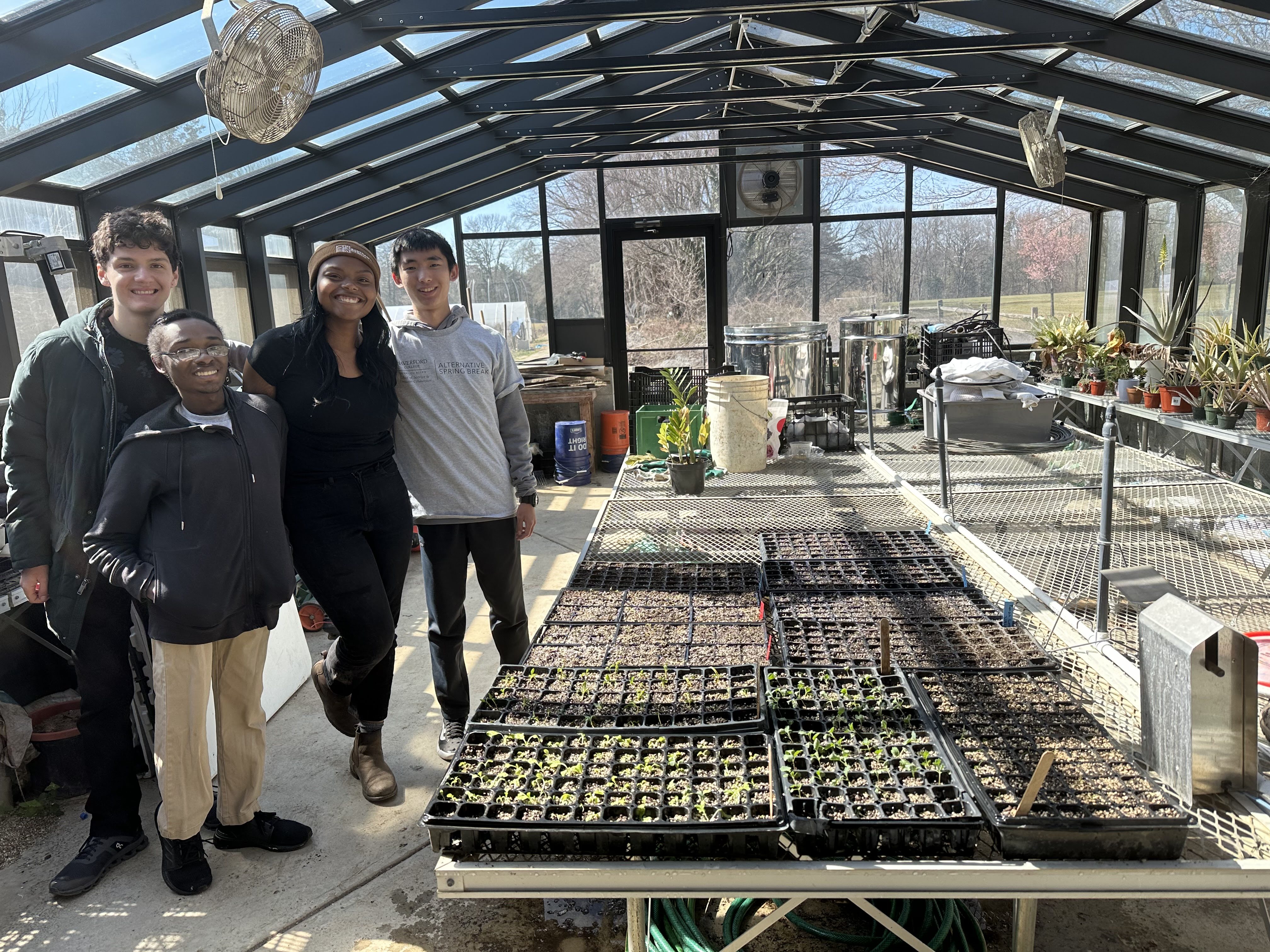 Students worked in the Bethel greenhouse