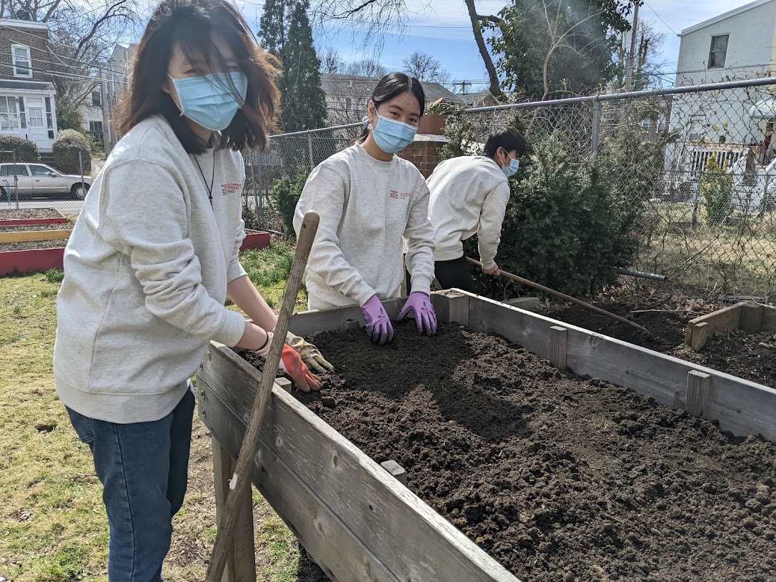 students working together in the garden bed