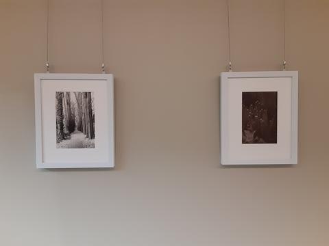 image of two framed nature photographs