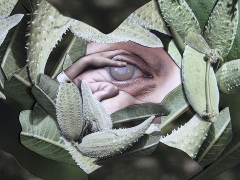 Digital composite image showing a plant with a glazed over eye with a small hand holding the eyelid