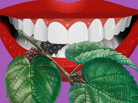 illustration of a mouth clasping mulberries between teeth in an unsettling way