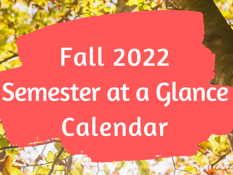 Fall 2022 Semester at a Glance Calendar