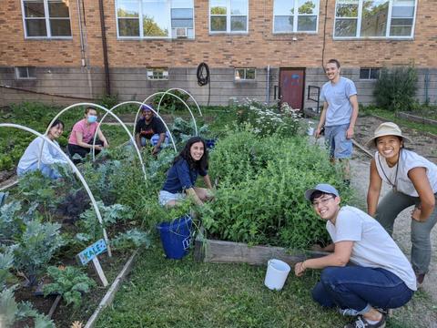 Photograph of 7 students working on the HCA Garden.