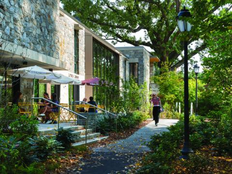 Photo of the patio outside the Library Café and the Lutnick Library entrance, surrounded by greenery. Several people are seated at café tables, and Julie Coy is walking down the path.