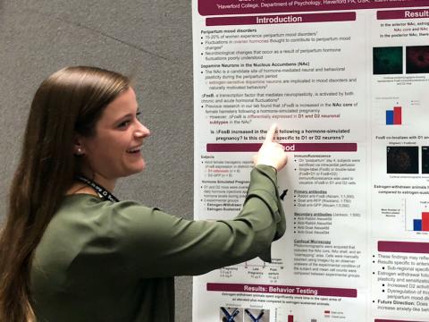 Alison Gibbons stands points at the neuroscience poster she co-authored