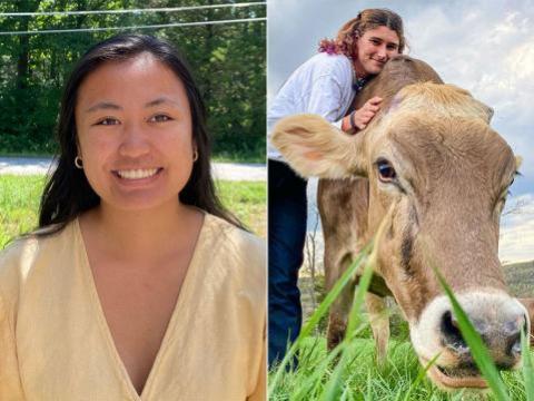 A split screen of headshots of April Zeng and Laurel Tanel with a cow