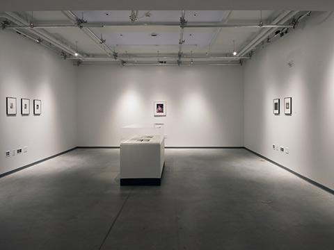 Gallery installation shot