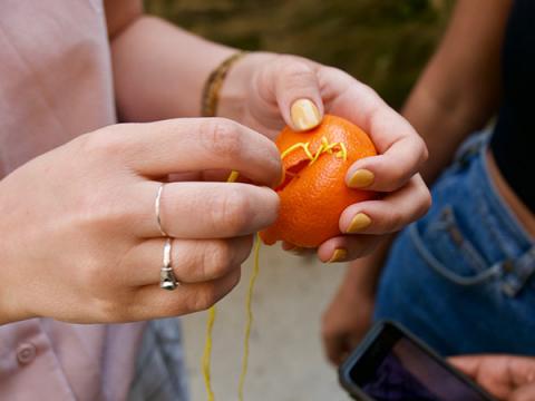 Close up photograph of someone stitching up a clementine