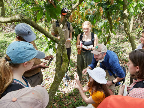 Professor Jon Wilson and students visiting the International Cocoa Genebank