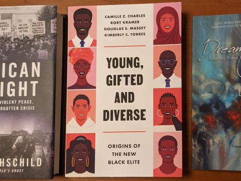 photo of three books: American Midnight with black and white photos of protests on the cover; Young, Gifted and Diverse with art of a variety of brown-skinned faces down the sides of the cover; Dream Bridge with an abstract textured painting cover.