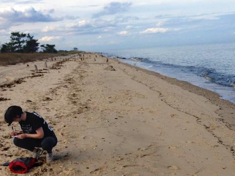 Helen White writes in a notebook on the beach of the Delaware Bay, the site of a 2020 oil spill she conducted research on.