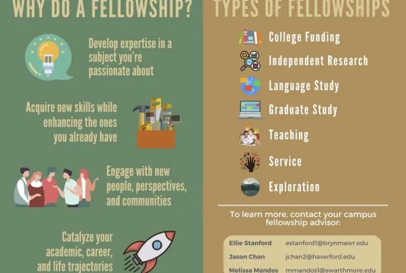Fellowship infographic