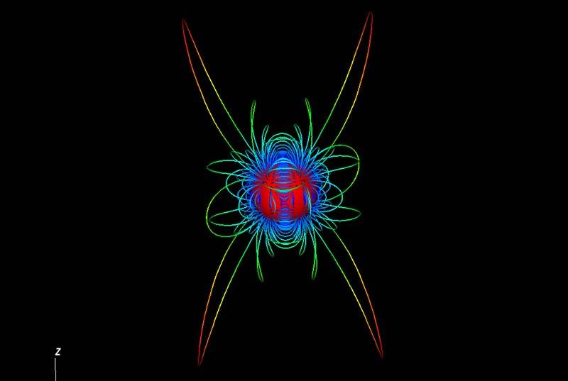 An image of one component of a stellar magnetic field