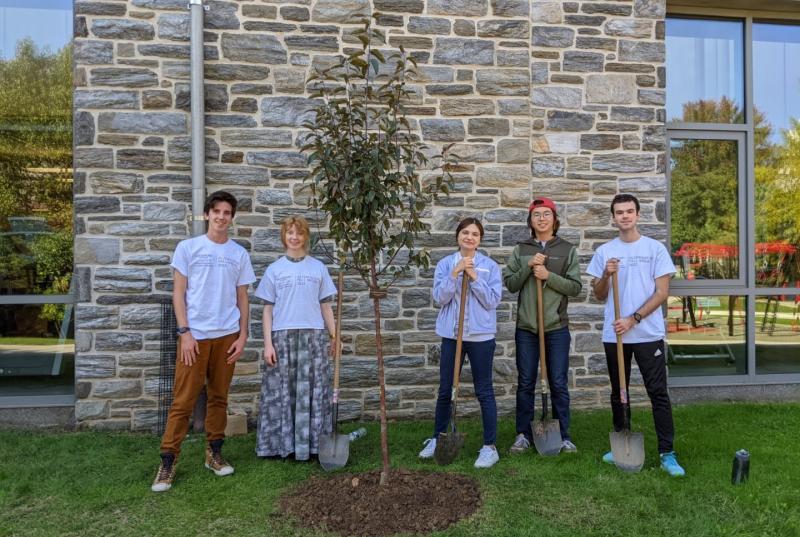 Five people with shovels stand next to a newly planted tree