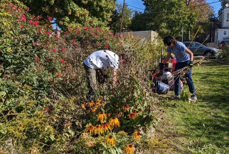 Two people work in a pollinator garden removing weeds