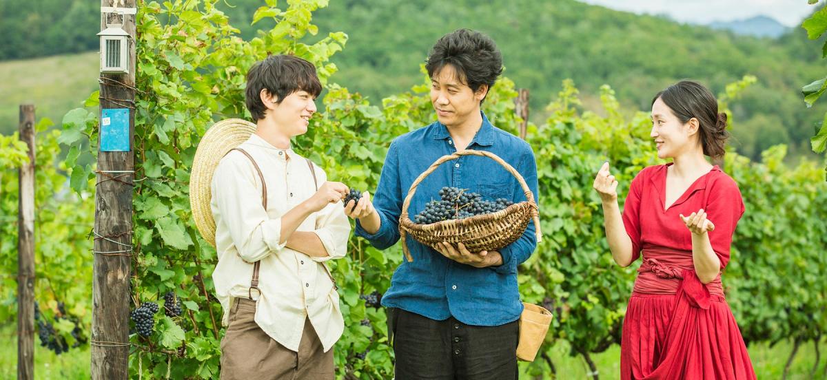 Two men and a woman stand in amidst the grapevines holding a basket full of harvested grapes