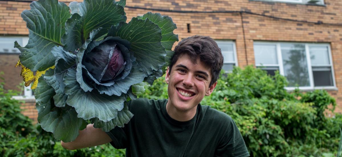 Man carrying giant head of cabbage