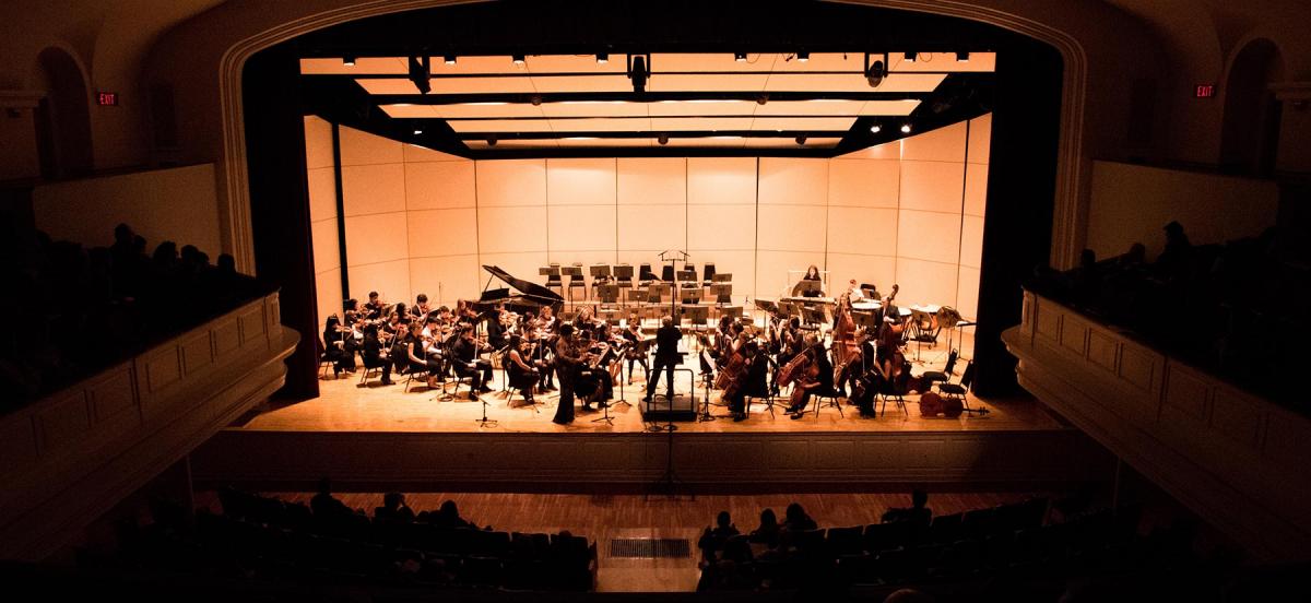 a view of the orchestra performing with the audience watching