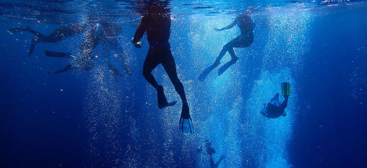 Underwater shot of students snorkeling