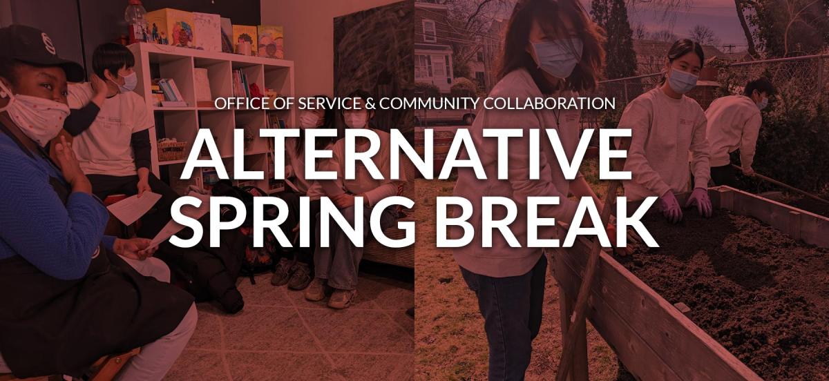 students participating in alternative spring break