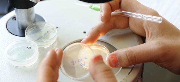Preparing specimins within a biology lab