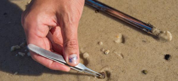a hand uses tweezers to pick debris out of sand
