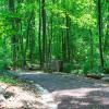 Haverford College Arboretum Nature Trail