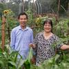 Professor Foen Peng's parents stand in the center of a lush community garden at the Haverfarm.
