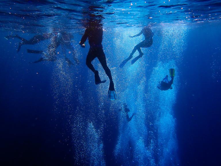 bubbles swirl around students working underwater with snorkels